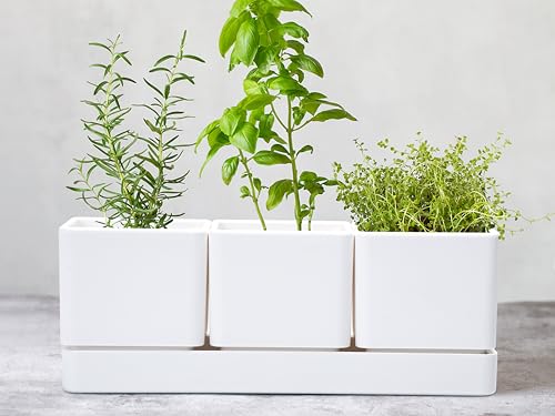 D'vine Dev 2-Pack Plastic Herb Garden Planter Set, White, 76-V-A-2 - color: White, size: 24"