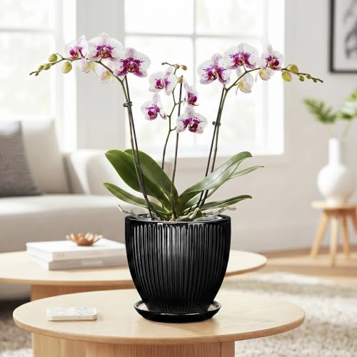 6 Inch Ceramic Planter, Indoor Plant Pots with Saucer, Black - color: Black, size: 6 Inch