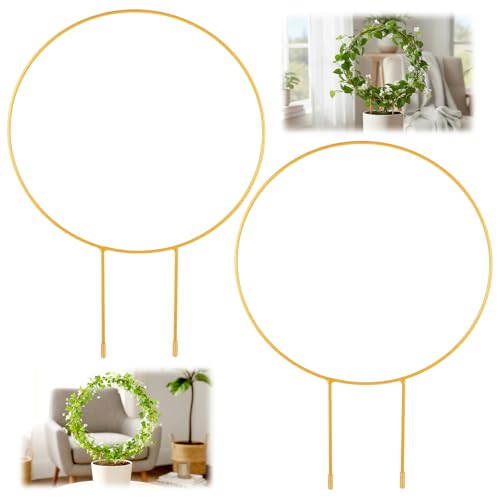 2 Pack Circle Trellis for Climbing Plants Indoor, Small Metal Garden Plant Support Stakes for Decorative Potted Plants Pothos Hoya Trelli Vines Indoor Outdoor (Gold)