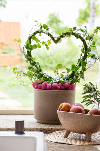 SuperMoss (22242) Heart Plant Trellis, 16" x 13" - size: 16" x 13"