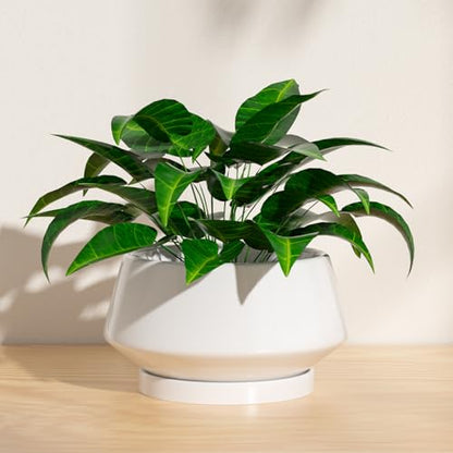 8.3 Inch White Ceramic Planter with Drainage Hole and Saucer - color: Gloss White, size: Medium