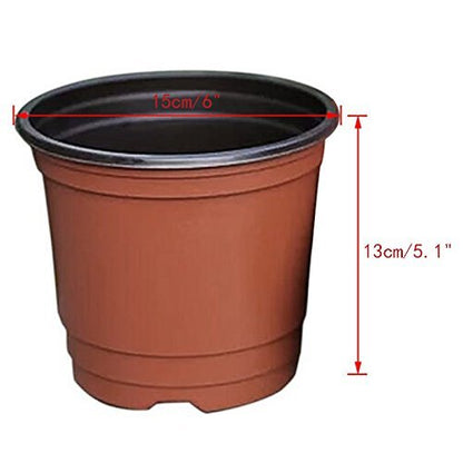 KINGLAKE 50 Pcs 6" Plastic Plants Nursery Seedlings Pot/Pots Flower Plant Container Seed Starting Pots for Plant - color: Brown
