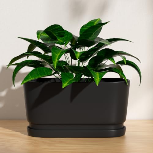 13" Rectangular Ceramic Planter with Drainage and Saucer, Black - color: Matte Black, size: Large