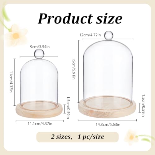 2 Pcs Round Glass Cloche Dome, Clear Decorative Tabletop Display Case with Wood Base and Globe Handle, for Fairy Lights Figurine Ornaments Plants Display Home Decor