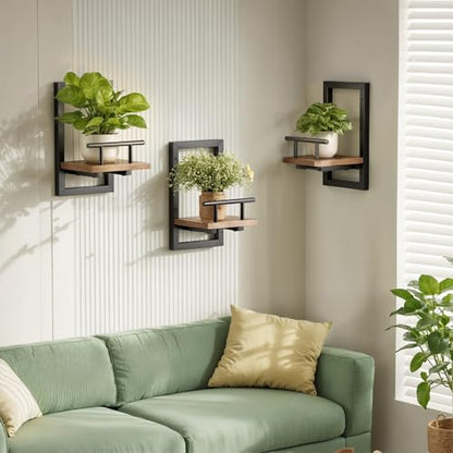 Sbosbo Floating Shelves for Wall Plant Shelf - color: Rustic Brown