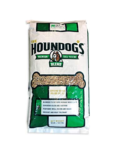 Houndogs Tall Fescue Blend - size: 50 lb