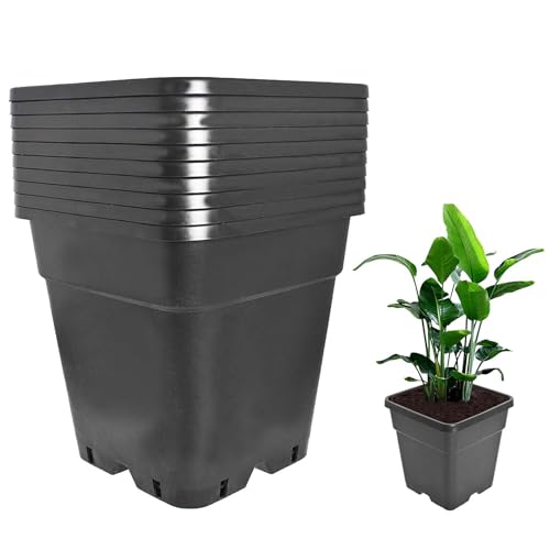Plant Pots Flower Pot 10-Pack 2 Gallon Planter Nursery Pot Garden Seedling Planters Containers Plastic Injection Molded Pots with Drainage Holes for Outdoor Indoor Plants Vegetables, Black - color: Black, size: 2 Gallon - Square