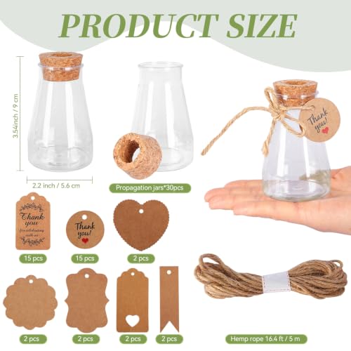 30 Pack Plant Propagation Stations, 3.35 in Shatterproof Plastic