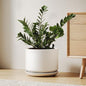 LE TAUCI 10 inch Plant Pot, Ceramic Pots for Plants, White - color: White, size: 10"