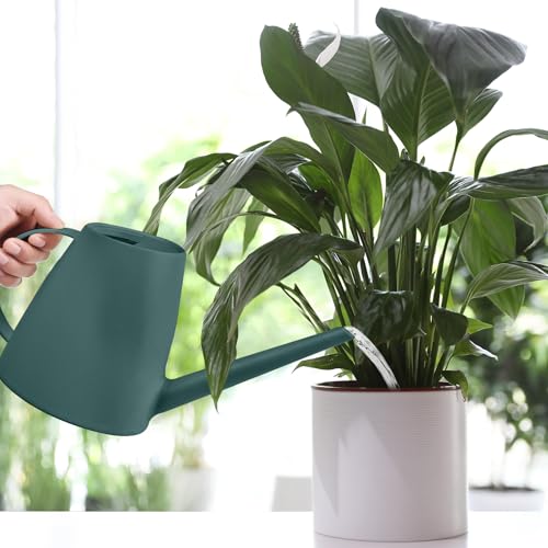 Plastic Watering Can for Home Plant Garden1/2 Gallon Blackish Green - color: Blackish Green