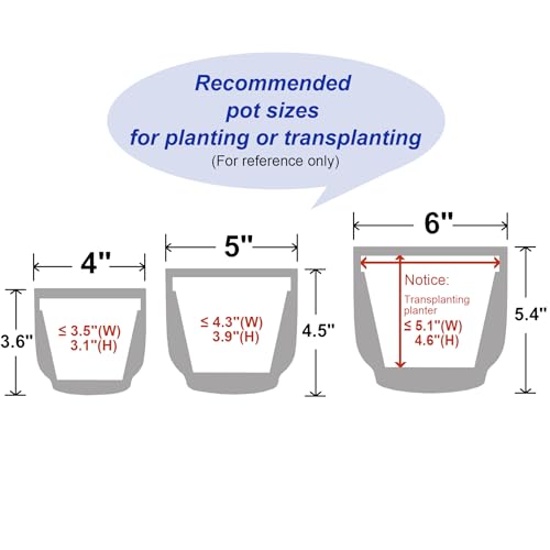 4 + 5 + 6 Inch Ceramic Pots for Indoor Plants, Succulents Plant Pots, Orchid Flower Pot with Drainage Hole, Modern Clay Stoneware Planters, Set of 3 (Dusty Blue, 4+5+6 Inch) - color: Dusty Blue