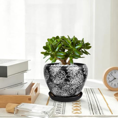 Ceramic Plant Pots With Saucer & Drainage Hole, 6 inch Indoor Flower Pots - color: Gray, size: 10 inch