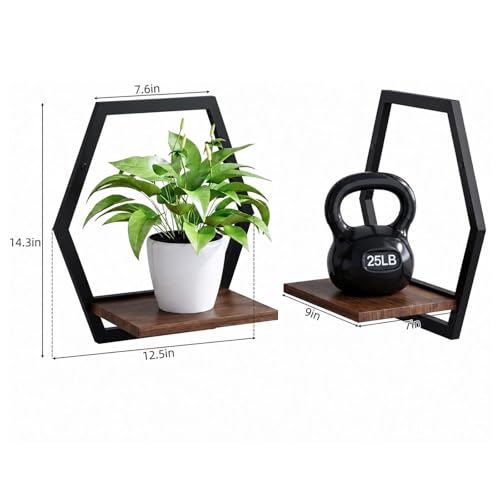 2 Pack Hexagon Wall Plant Stands, 9 Inch Walnut Wood Shelf Black - color: 2 Pack Black-a