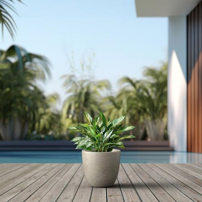 Kante Small Round Bowl Weathered Concrete Planter 10" Dia, Outdoor - color: Buff Concrete, size: 10"d
