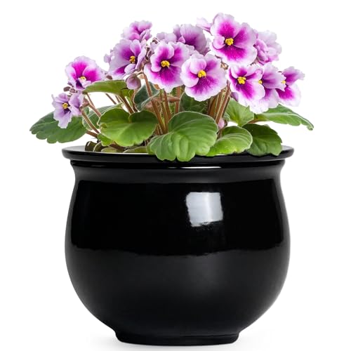 Ceramic African Violet Self Watering Pots, 6 Inch Self Watering Plant Pot with Absorbent Inner Pot, Flower Pots for Indoor Plants, Round Ceramic Planter, Home Decor, Plant Lover Gifts, Black - color: Black, size: 6 Inch