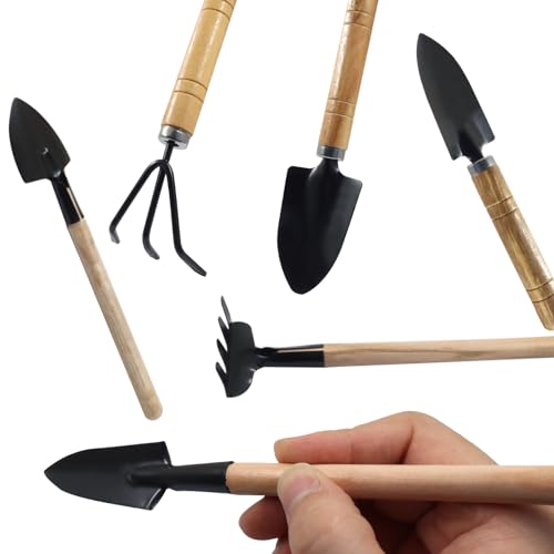 6 Pcs Mini Garden Tools Set, Iron Kit Including Hand Shovel, Transplant Shovel and Hand Rake for Succulent/Bonsai & Pot Plants - style: 6 Pcs