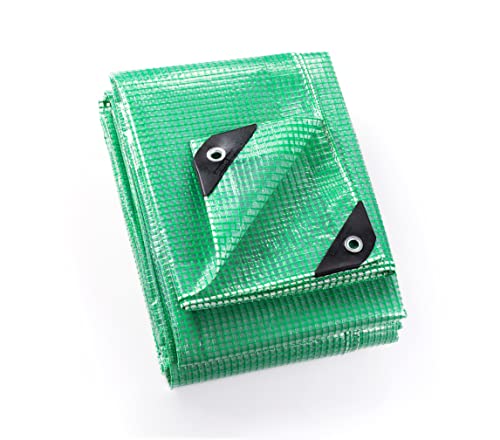GUARD SHIELD Clear Green Tarp Heavy Duty 8x20 Feet Waterproof for Greenhouse Outdoor Garden Poly Cover UV Resistant 3x3 Weave 10mil - color: Clear Leno / Green, size: 8x20