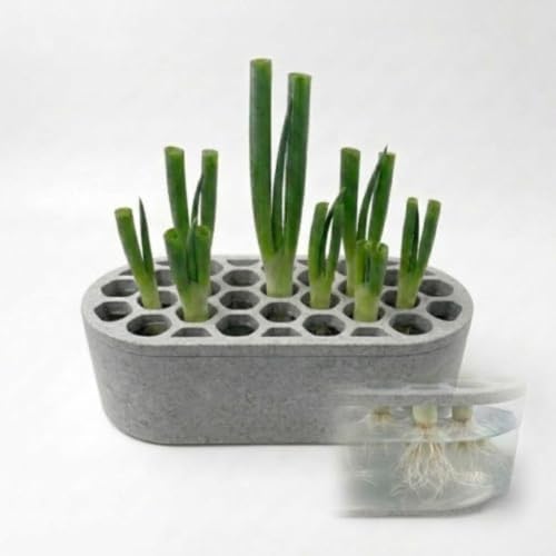 Mini Green Onion Regrower Kit, Hydroponic Scallion Planter Box with Hexagonal Honeycomb Lid, Soil-Free Indoor Herb Water Propagation Tub for Kitchen Countertop（Gray） - color: Gray