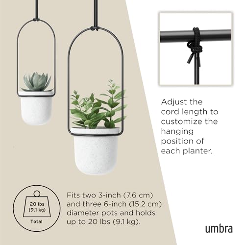 Umbra Triflora Hanging Planter, Window Herb Garden, Set of 5, White/Black - color: White/Black, size: Set of 5, style: Set of 5