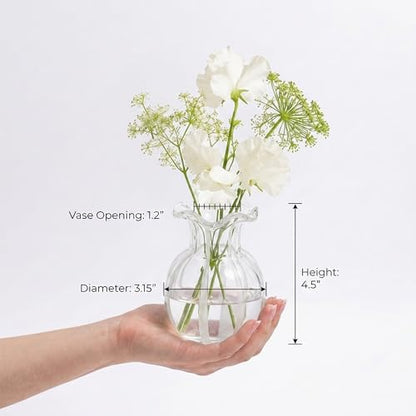 6-Piece 4.5" Ruffled Ribbon Small Vases for Flowers Hand-Blown Glass Vases