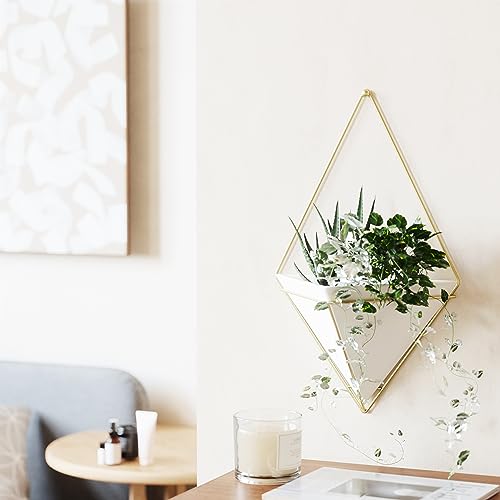 Umbra Trigg Hanging Planter for Small Plants, Large, White/Brass - color: White/Brass, size: Large