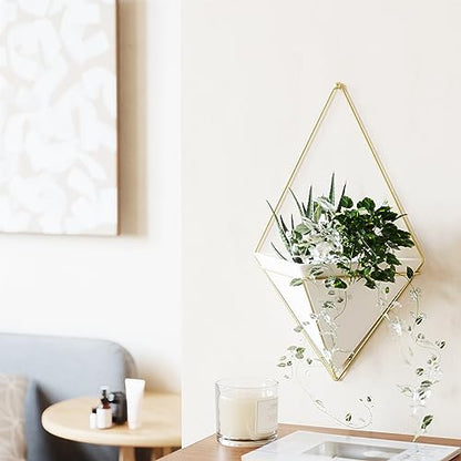 Umbra Trigg Hanging Planter for Small Plants, Large, White/Brass - color: White/Brass, size: Large