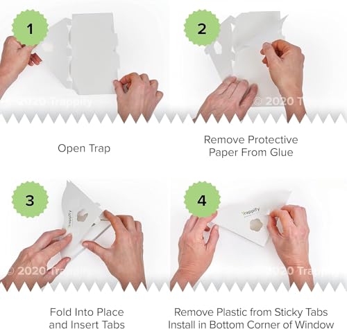 Trappify Window Corner Fly Trap | Fruit Fly Traps for Indoors | 12 Pack