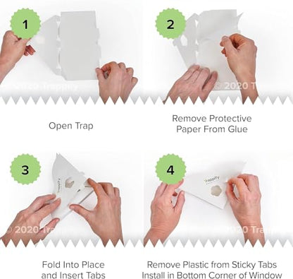 Trappify Window Corner Fly Trap | Fruit Fly Traps for Indoors | 12 Pack
