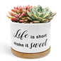 Motivational Funny Planter Pots, Life is Short Make It Sweet Ceramic Succulent Plant Flower Planters(No Plants) - color: Style 02