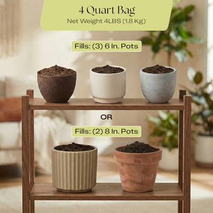 Rosy Soil Aroid Soil Mix, Chunky Biochar Potting Mix, 4 Quarts - color: Aroid, size: 4 Quarts
