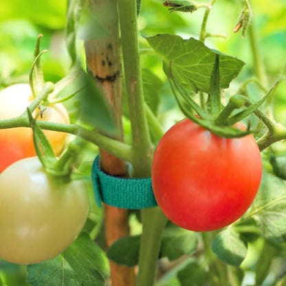 Garden Tape Garden Tie, 65.6ft x 0.6 inch Plant Supports - size: 1 Pack 65.6 Feet