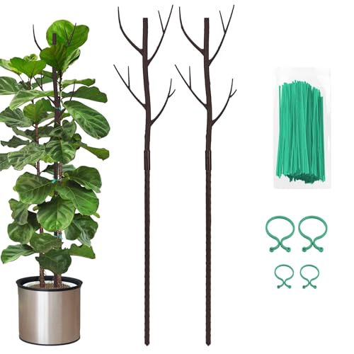 Plant Support Stakes for Indoor Plants, 2-Pack Plant Trellis, Brown - color: Brown, size: 2 Pack Style A