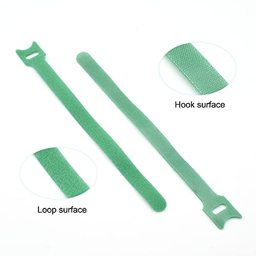 Hook and Loop Garden Plant Cable Ties, 100 Pcs, 8 Inch, Green