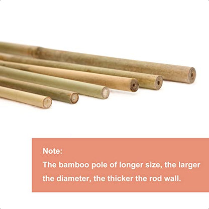 COLOtime Bamboo Stakes 6FT Garden Stakes Plant Poles for Outdoor 20 Pack - size: 6ft, 20 Pack