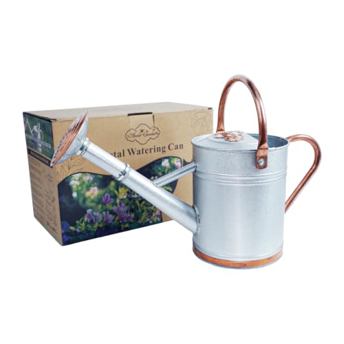 1 Gallon Outdoor Metal Watering Can with Real Copper Details - color: Stardust & Vermilion