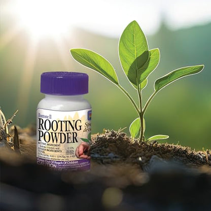 Bonide Bontone II Rooting Powder, 1.25 oz Ready-to-Use Dust for Houseplants and Transplants Speeds Root Development (Pack of 4) - size: 1.25 oz (Pack of 4)