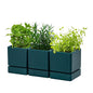 D'vine Dev 3-Pack Plastic Herb Planter Pots, 4 in, Green, 76-Y-C-1 - color: Green, size: 12 Inch x 4.5 Inch