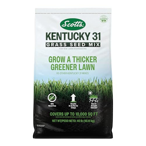 Scotts Kentucky 31 Grass Seed Mix, 40 lbs. - size: 40 lb