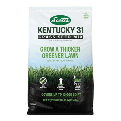 Scotts Kentucky 31 Grass Seed Mix, 40 lbs. - size: 40 lb