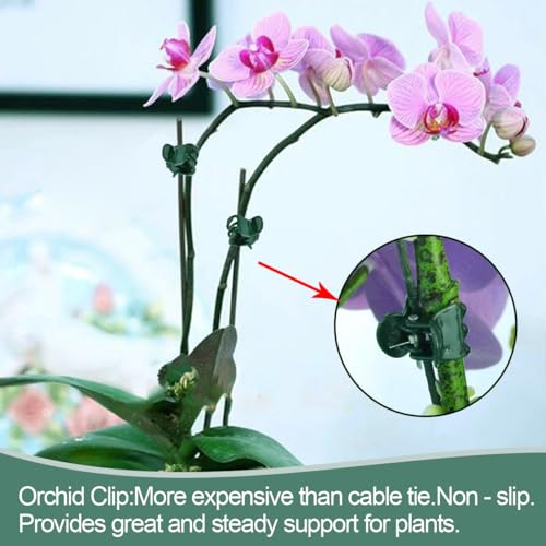 LeJoy Garden 22Pcs Bendable Plant Stakes with Clips for Orchid, Monstera - color: Green