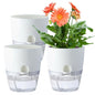 Oliz 6" Self Watering Pots for Indoor Plants, 3pk White w/Drainage Holes - color: White 3pcs