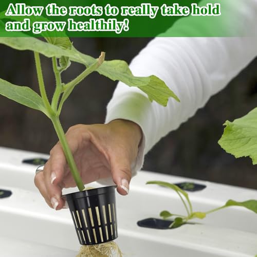 Halatool 48 x 2 Rockwool Cubes & 48 x 3 Net Cups Hydroponic Starter Kit - size: 2" rockwool-48pcs+3" net cups-48pcs