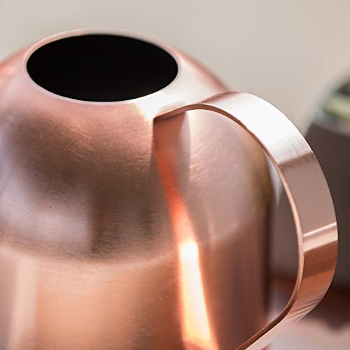 Watering Can for Indoor Plants, 30oz Long Spout Stainless Steel - size: Rose Gold 30 oz