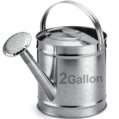 Geetery 2 Gallon Galvanized Metal Watering Can, Removable Spout,Silver - size: 2 Gallon