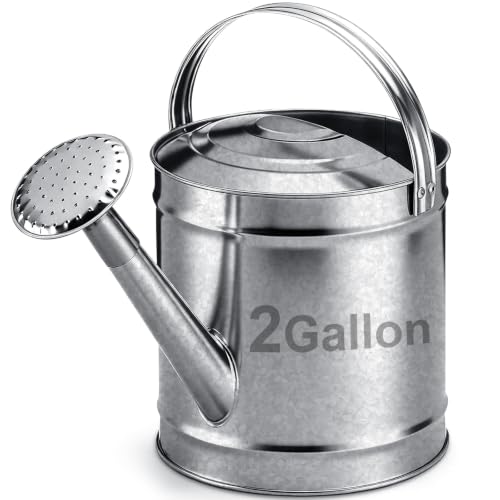 Geetery 2 Gallon Galvanized Metal Watering Can, Removable Spout,Silver - size: 2 Gallon