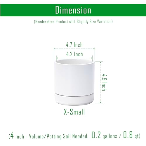 D'vine Dev 4-Pack Ceramic Pots with Saucers, White, 4.7 in, 94-X-B-1 - color: White, size: 4.7 Inch