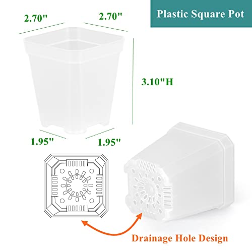 60 Pack Small 2.70 Inch Plastic Square Nursery Pot, Plant Starting and Transplant Planter Container with Drainage Hole for Seed Germination, Clear
