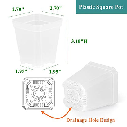 60 Pack Small 2.70 Inch Plastic Square Nursery Pot, Plant Starting and Transplant Planter Container with Drainage Hole for Seed Germination, Clear