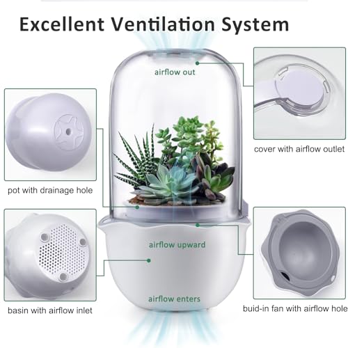 Smart Venus Fly Trap Terrarium Pot with Timer&Fan, Mini Plant Terrarium Kit