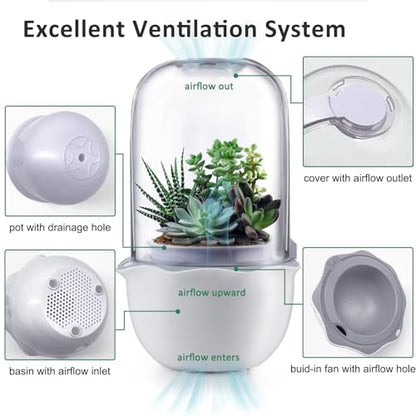 Smart Venus Fly Trap Terrarium Pot with Timer&Fan, Mini Plant Terrarium Kit